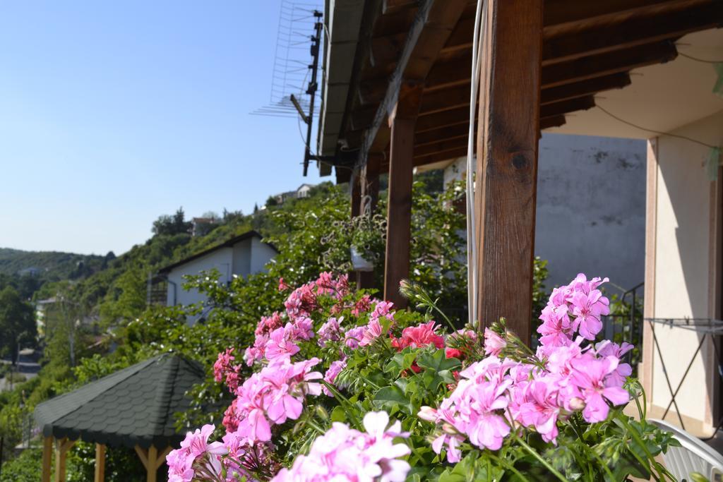 Roza * Dojran