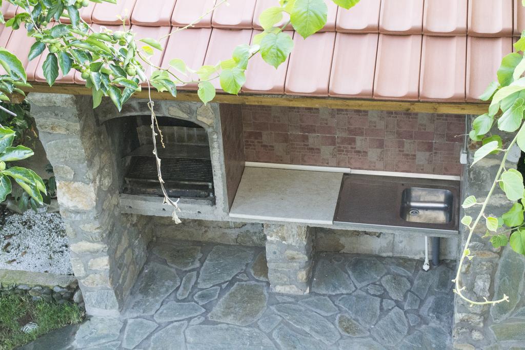 Apartment Roza Dojran