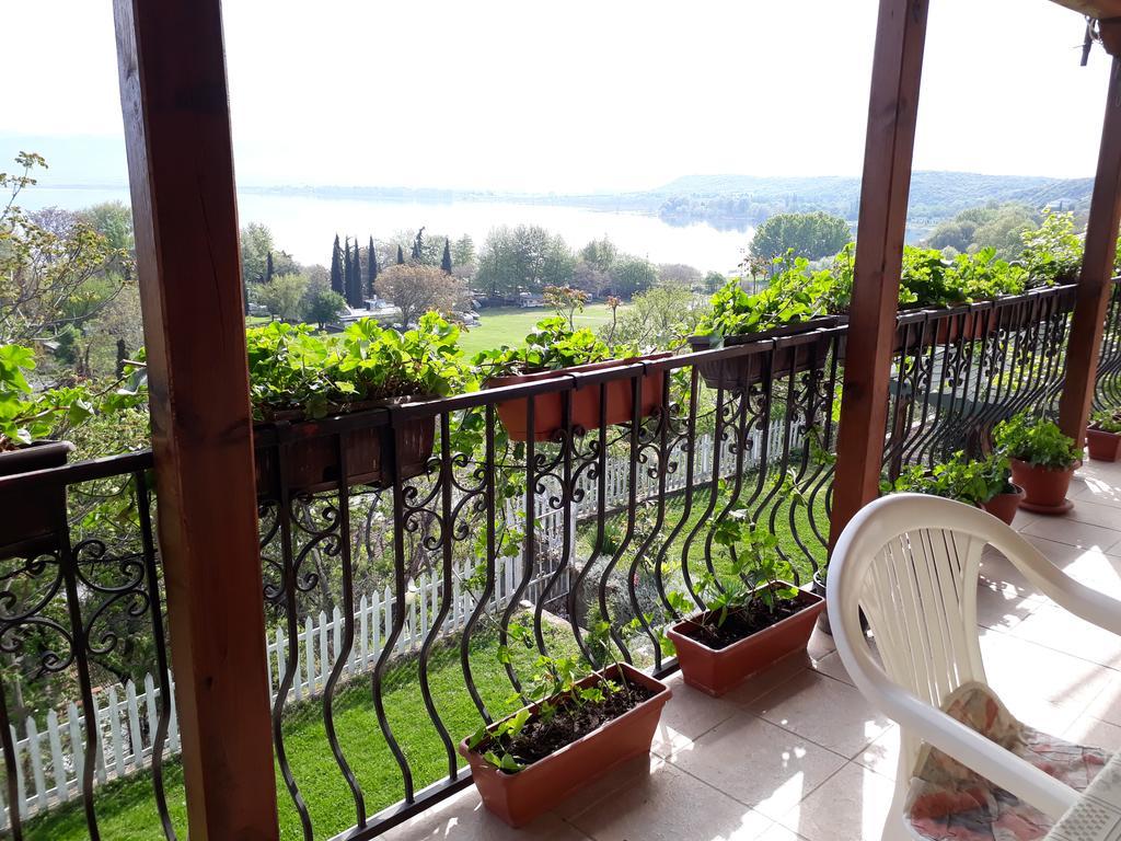 Roza * Dojran