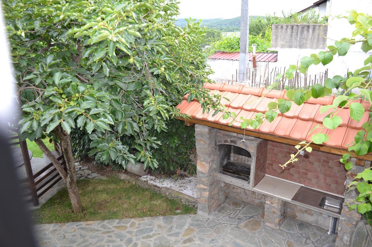 Roza * Dojran